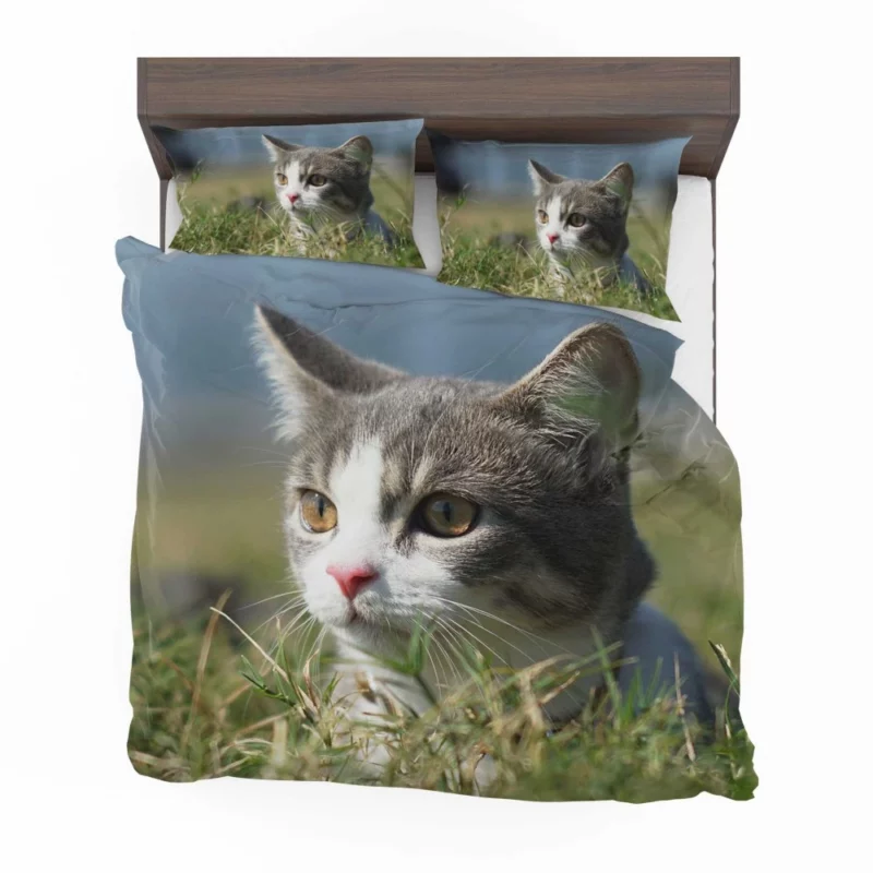 Cat Playful Antics Bedding Set 1