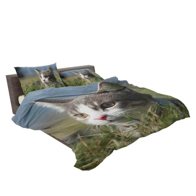 Cat Playful Antics Bedding Set 2