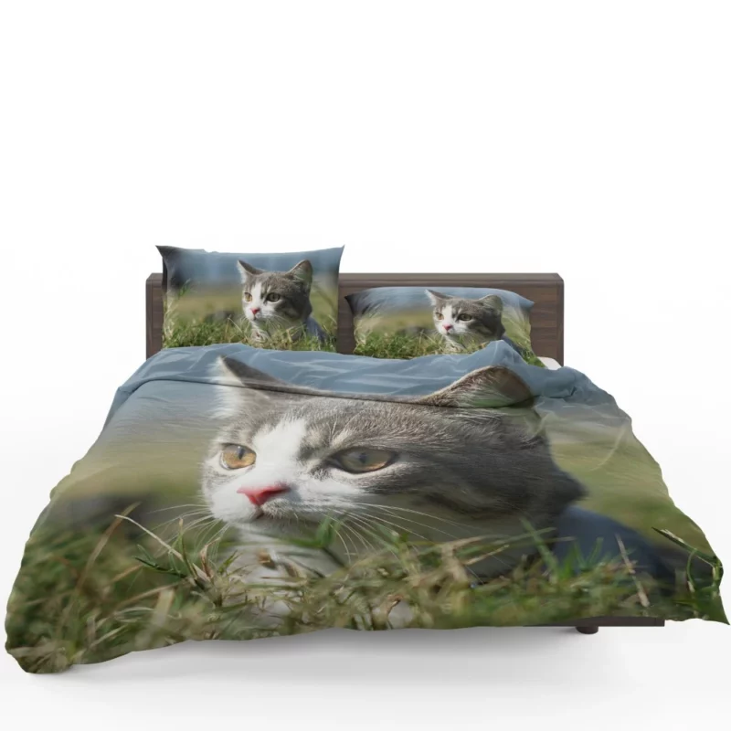 Cat Playful Antics Bedding Set