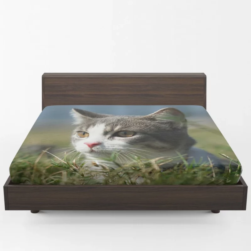 Cat Playful Antics Fitted Sheet