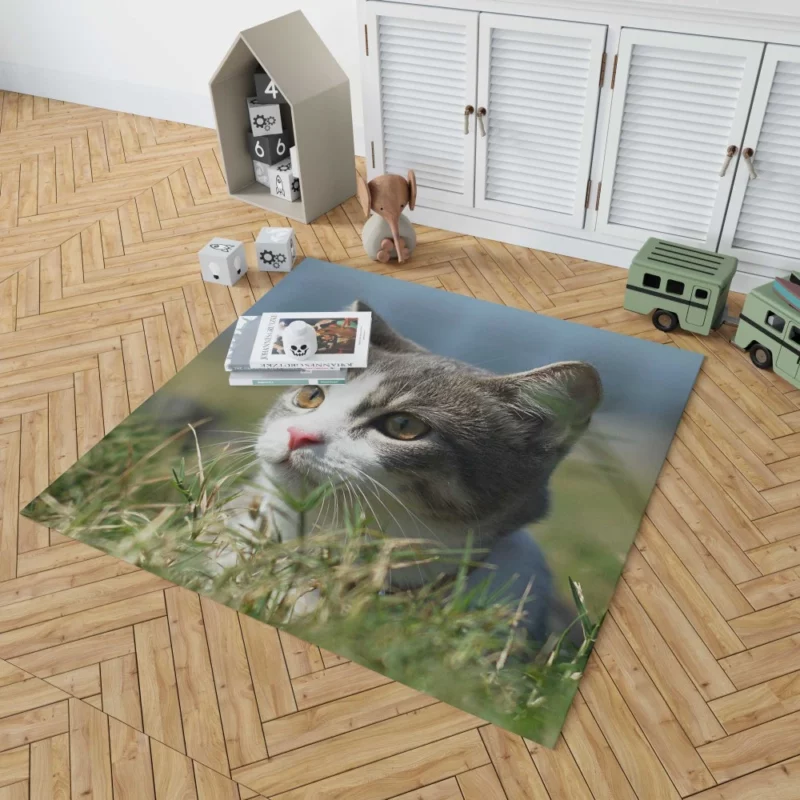 Cat Playful Antics Rug 1