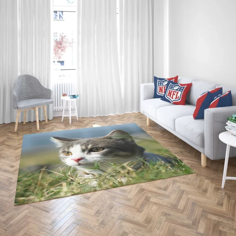 Cat Playful Antics Rug 2