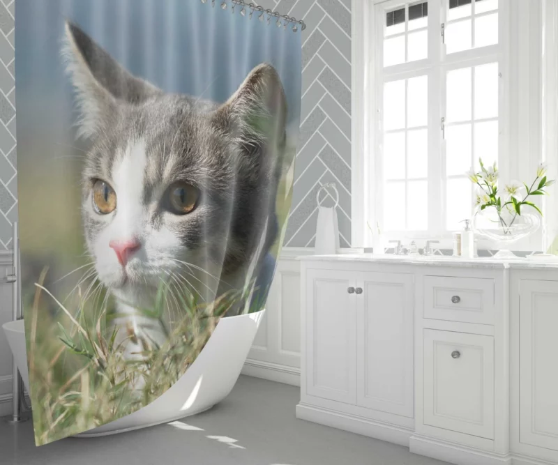 Cat Playful Antics Shower Curtain 1