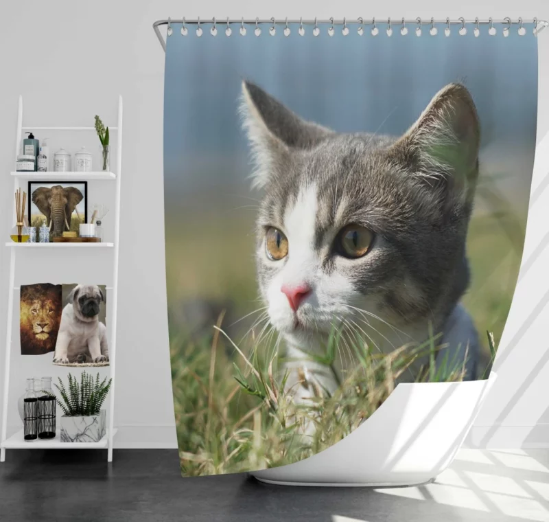 Cat Playful Antics Shower Curtain