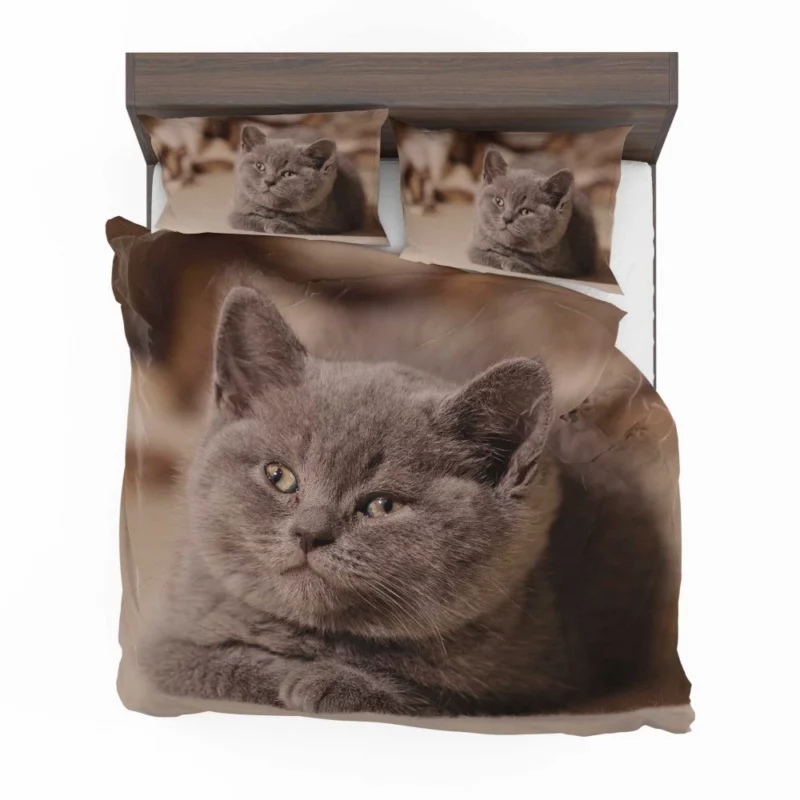 Cat Playful Charm Feline Whimsy Bedding Set 1