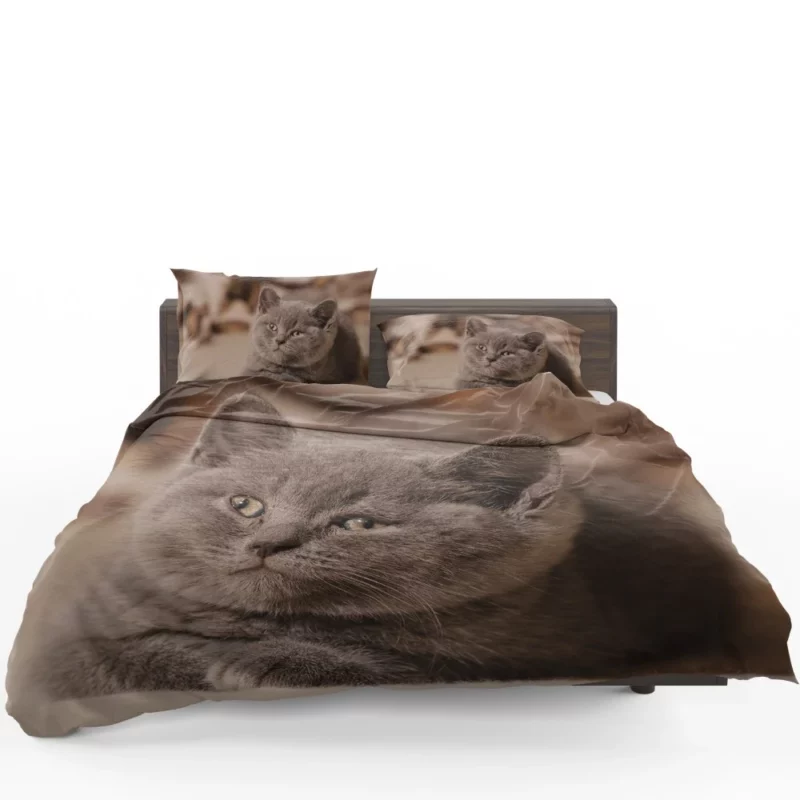 Cat Playful Charm Feline Whimsy Bedding Set