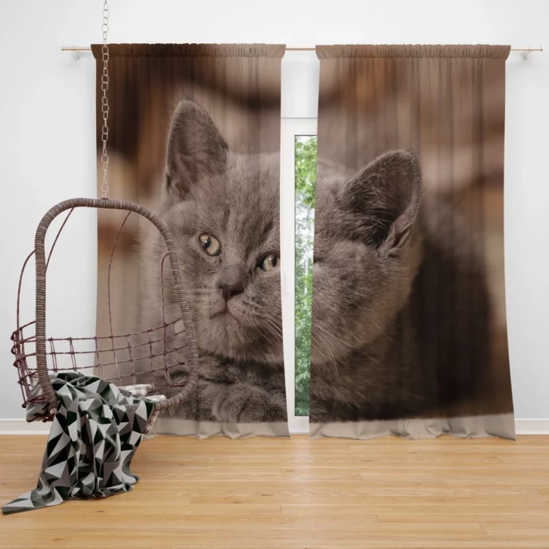 Cat Playful Charm Feline Whimsy Curtain