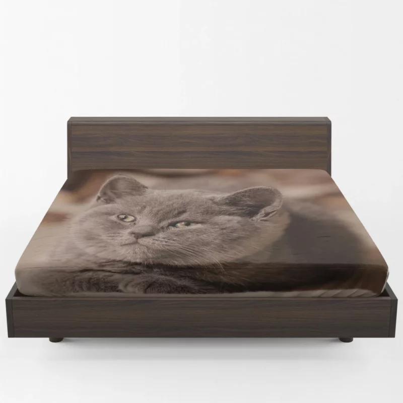 Cat Playful Charm Feline Whimsy Fitted Sheet