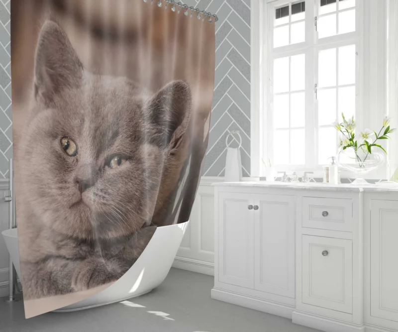 Cat Playful Charm Feline Whimsy Shower Curtain 1