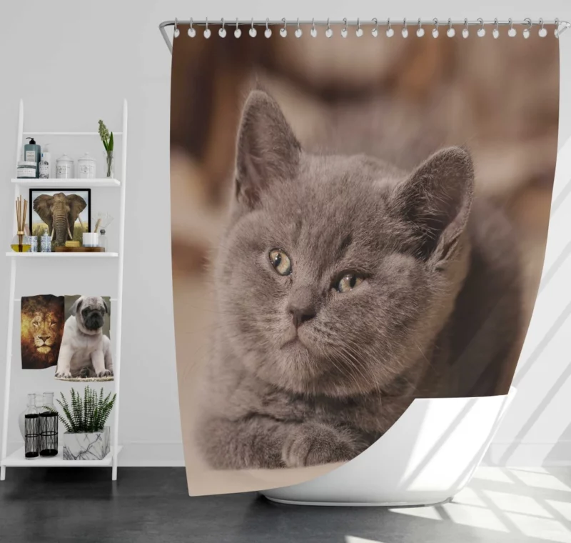 Cat Playful Charm Feline Whimsy Shower Curtain