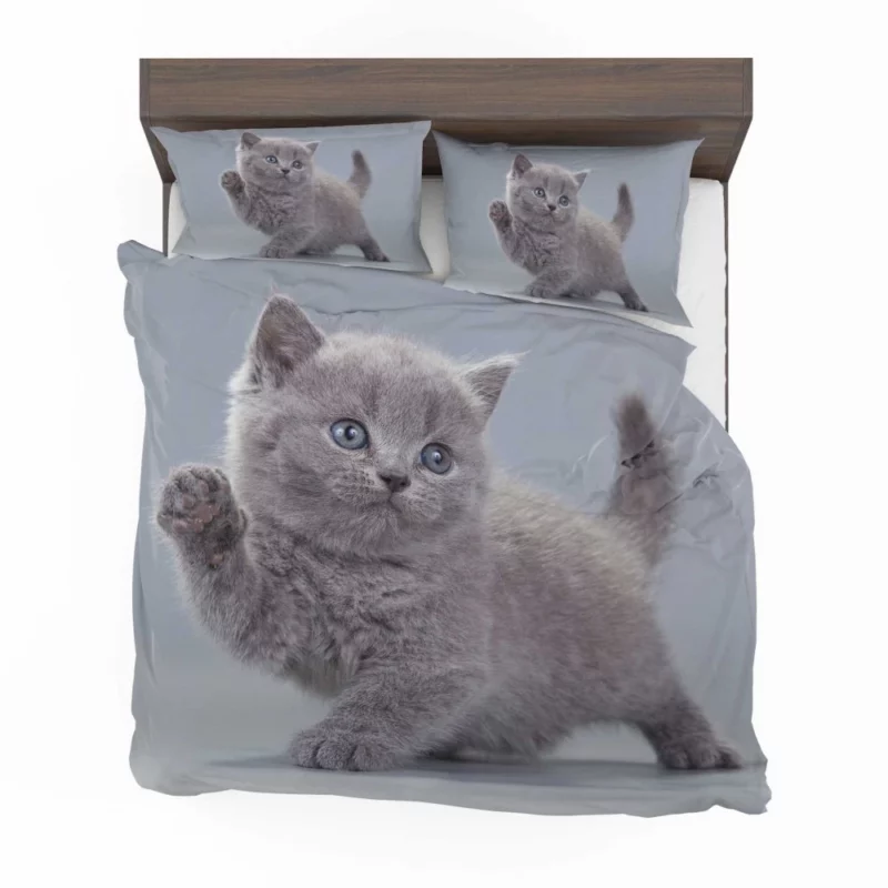 Cat Playful Charm Kitten Intrigue Bedding Set 1