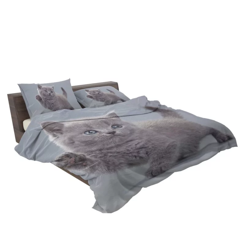 Cat Playful Charm Kitten Intrigue Bedding Set 2