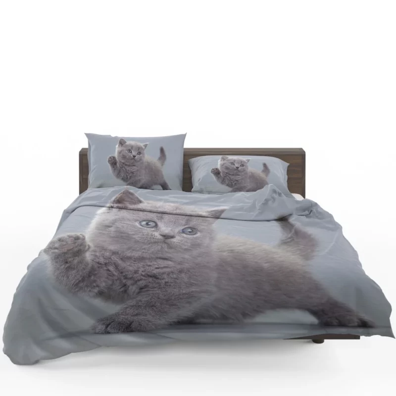 Cat Playful Charm Kitten Intrigue Bedding Set