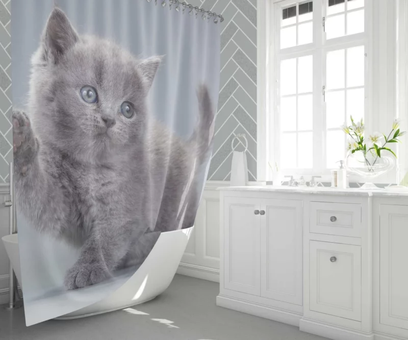 Cat Playful Charm Kitten Intrigue Shower Curtain 1