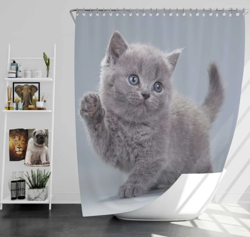 Cat Playful Charm Kitten Intrigue Shower Curtain