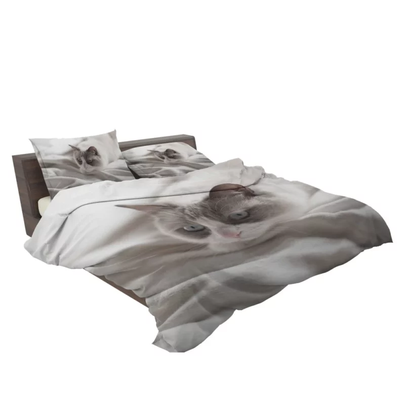 Cat Playful Demeanor Bedding Set 2