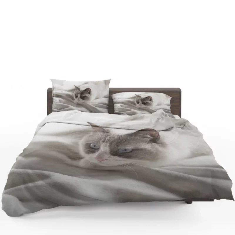 Cat Playful Demeanor Bedding Set