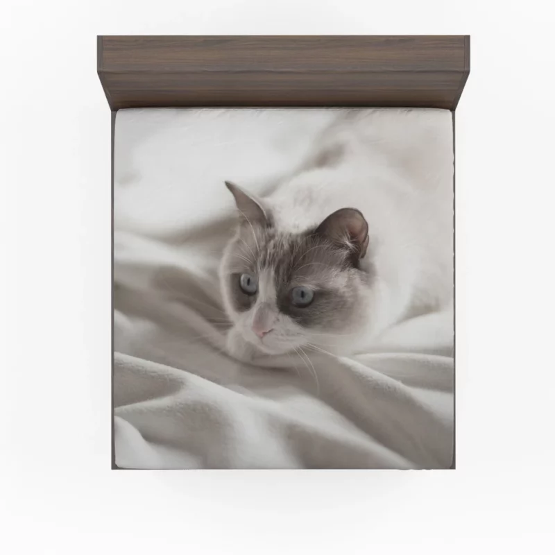 Cat Playful Demeanor Fitted Sheet 1