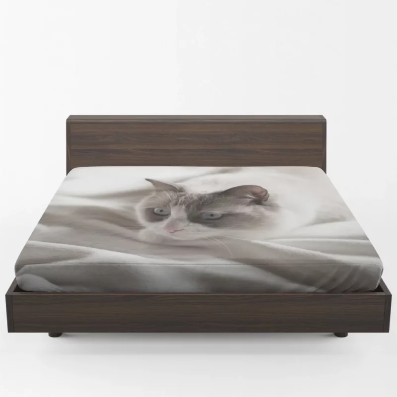 Cat Playful Demeanor Fitted Sheet