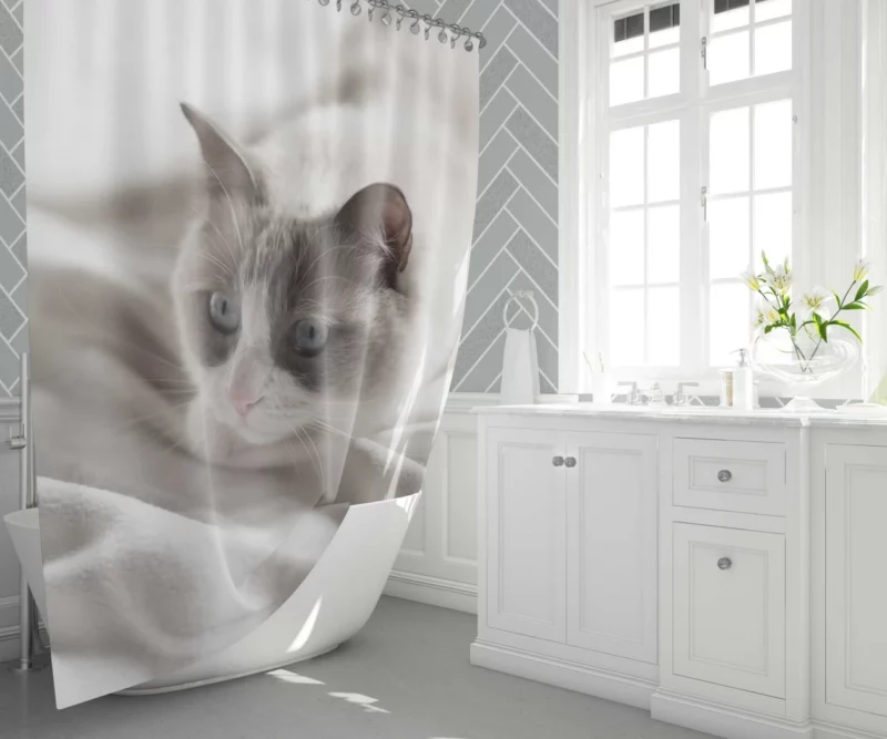 Cat Playful Demeanor Shower Curtain 1