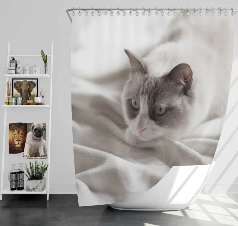 Cat Playful Demeanor Shower Curtain