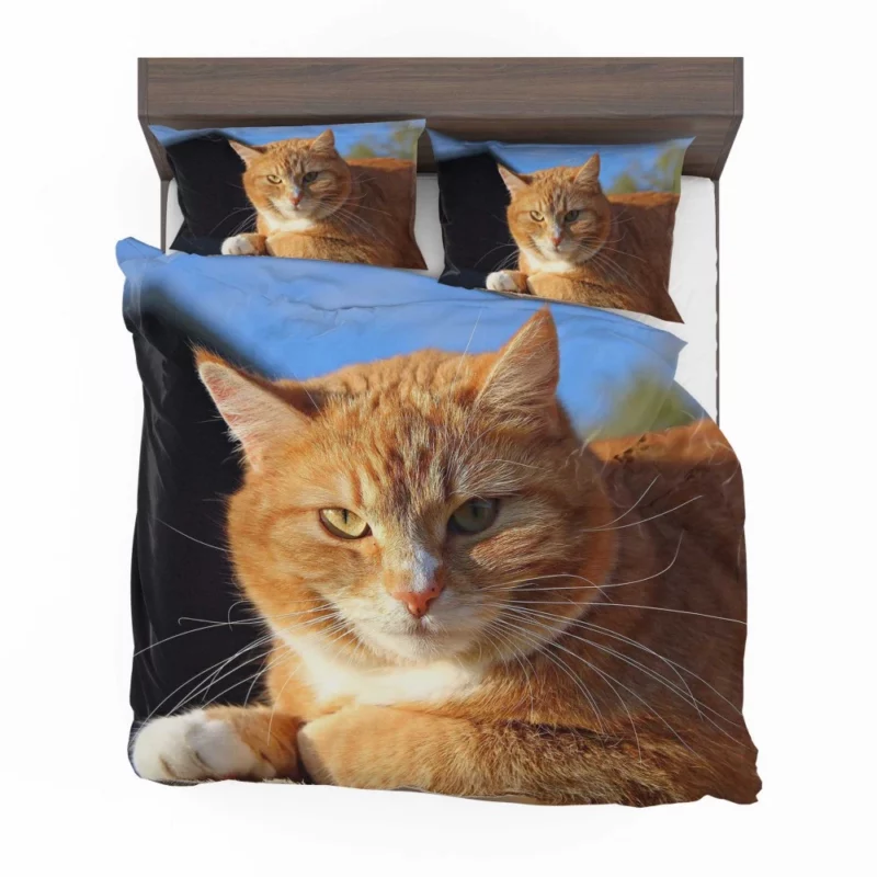 Cat Purr Gentle Companionship Bedding Set 1