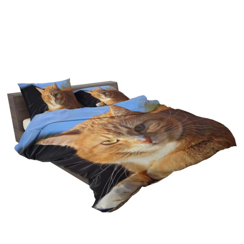 Cat Purr Gentle Companionship Bedding Set 2