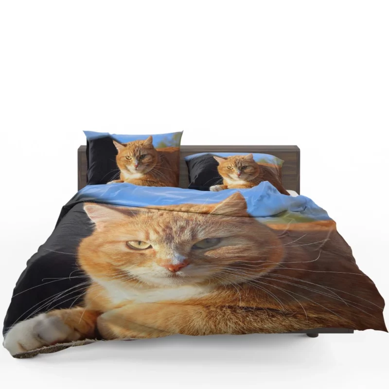 Cat Purr Gentle Companionship Bedding Set