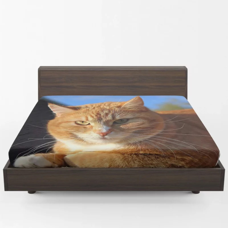 Cat Purr Gentle Companionship Fitted Sheet