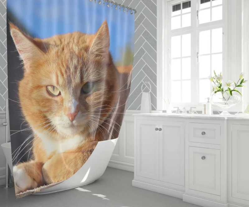 Cat Purr Gentle Companionship Shower Curtain 1