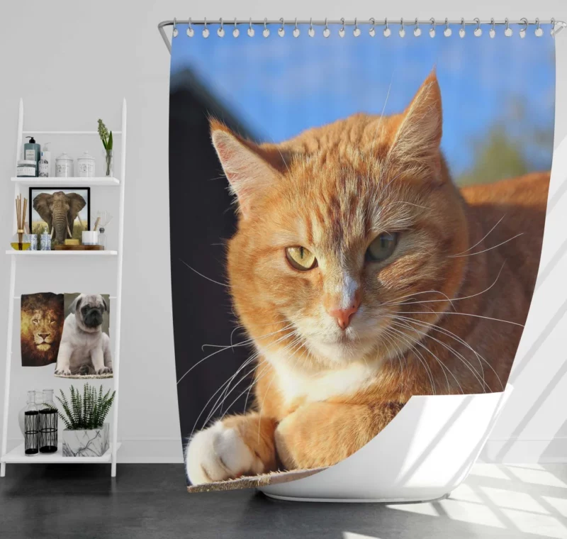 Cat Purr Gentle Companionship Shower Curtain