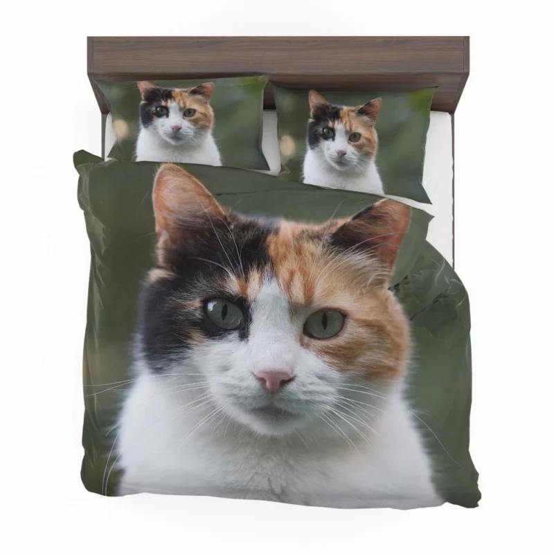 Cat Resilient Bedding Set 1