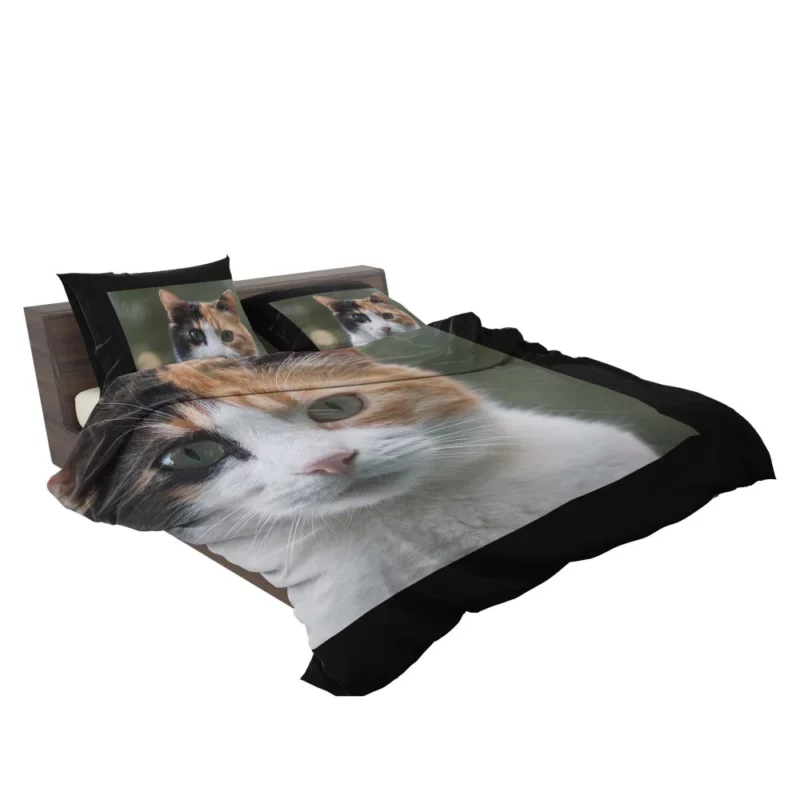 Cat Resilient Bedding Set 2