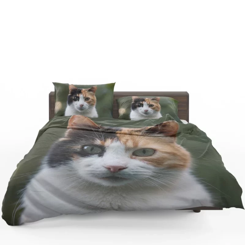 Cat Resilient Bedding Set