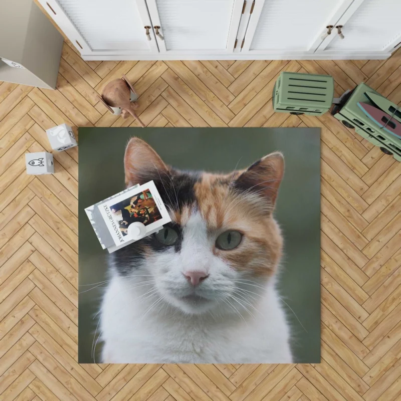 Cat Resilient Rug