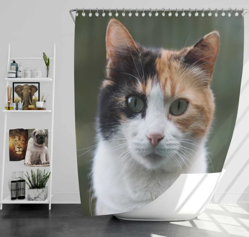 Cat Resilient Shower Curtain