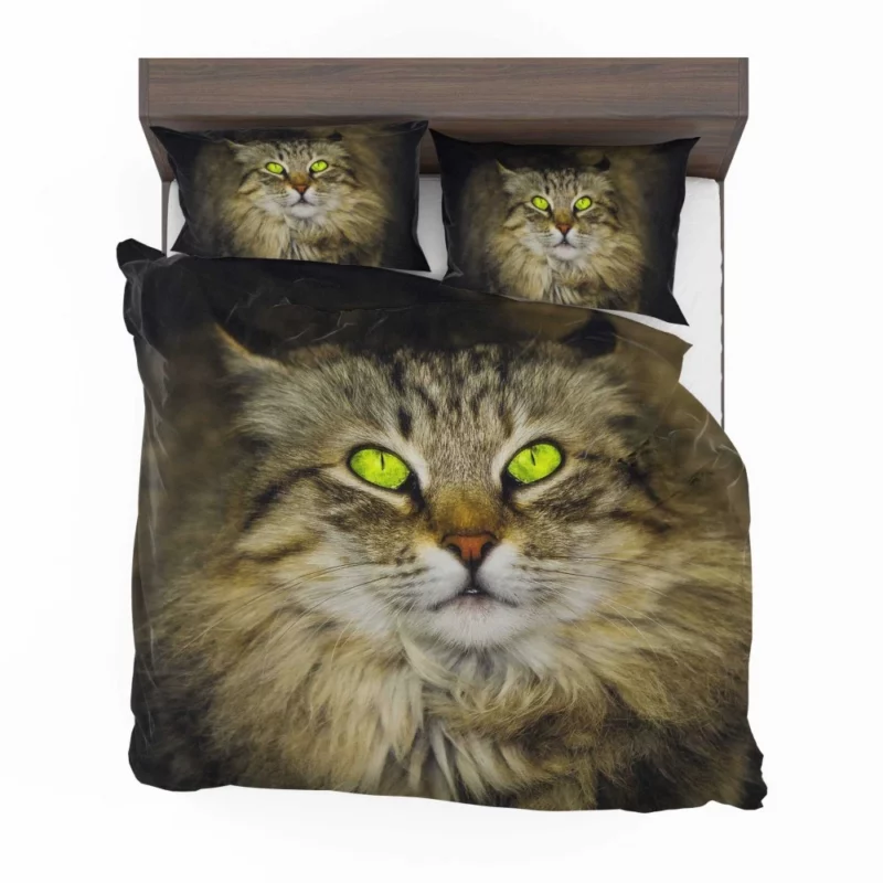 Cat Roaming Bedding Set 1