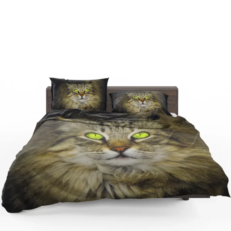 Cat Roaming Bedding Set