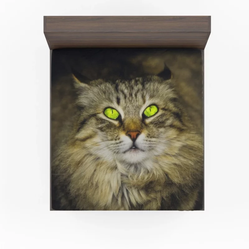 Cat Roaming Fitted Sheet 1