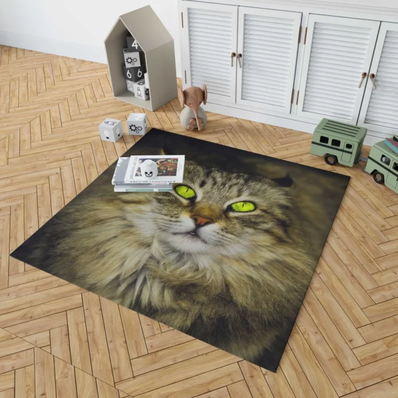 Cat Roaming Rug 1