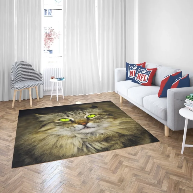 Cat Roaming Rug 2