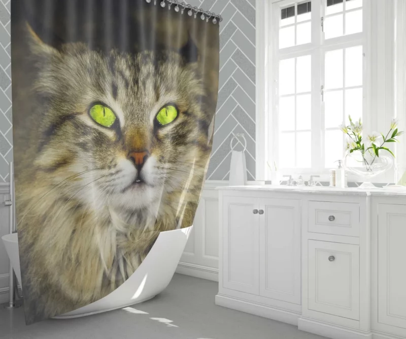 Cat Roaming Shower Curtain 1