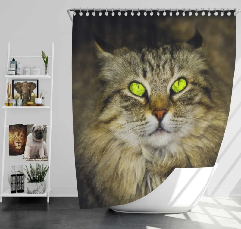 Cat Roaming Shower Curtain