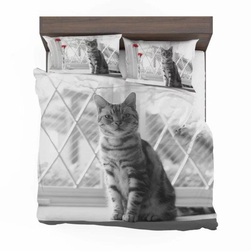 Cat Selective Color Mystery Fiery Intrigue Bedding Set 1