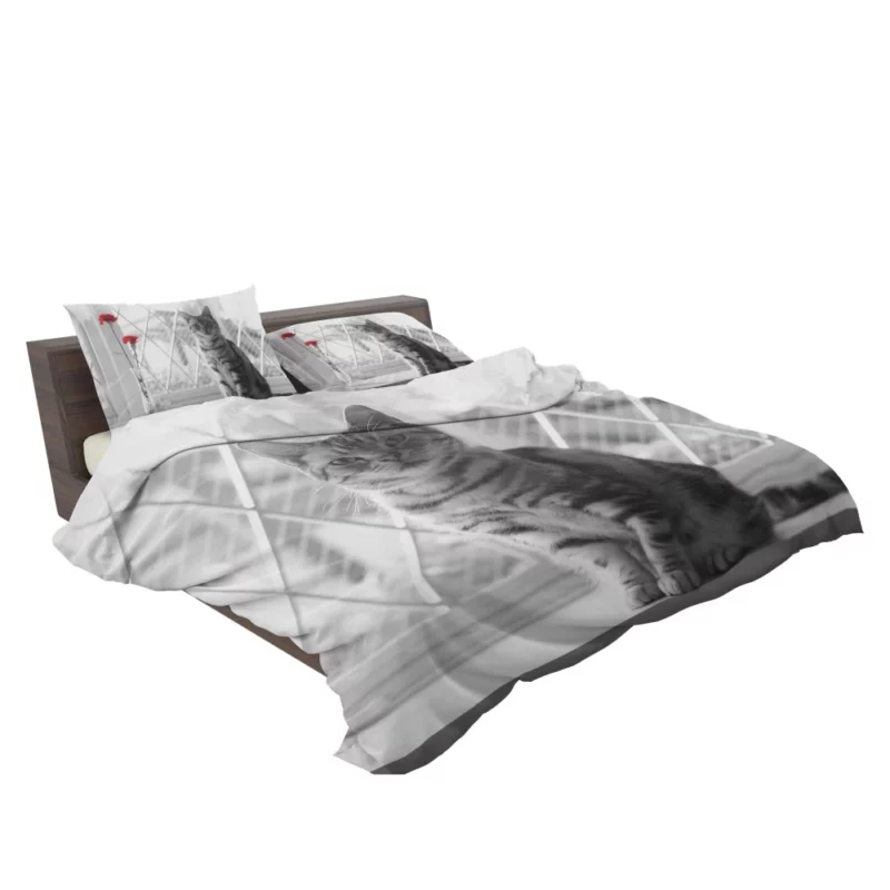 Cat Selective Color Mystery Fiery Intrigue Bedding Set 2