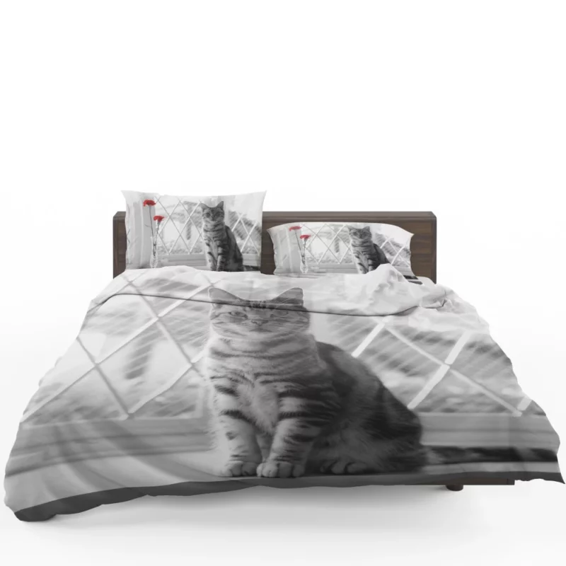 Cat Selective Color Mystery Fiery Intrigue Bedding Set