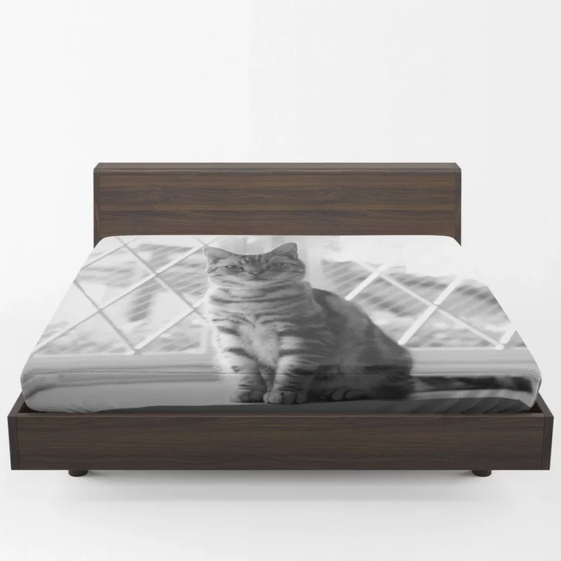 Cat Selective Color Mystery Fiery Intrigue Fitted Sheet