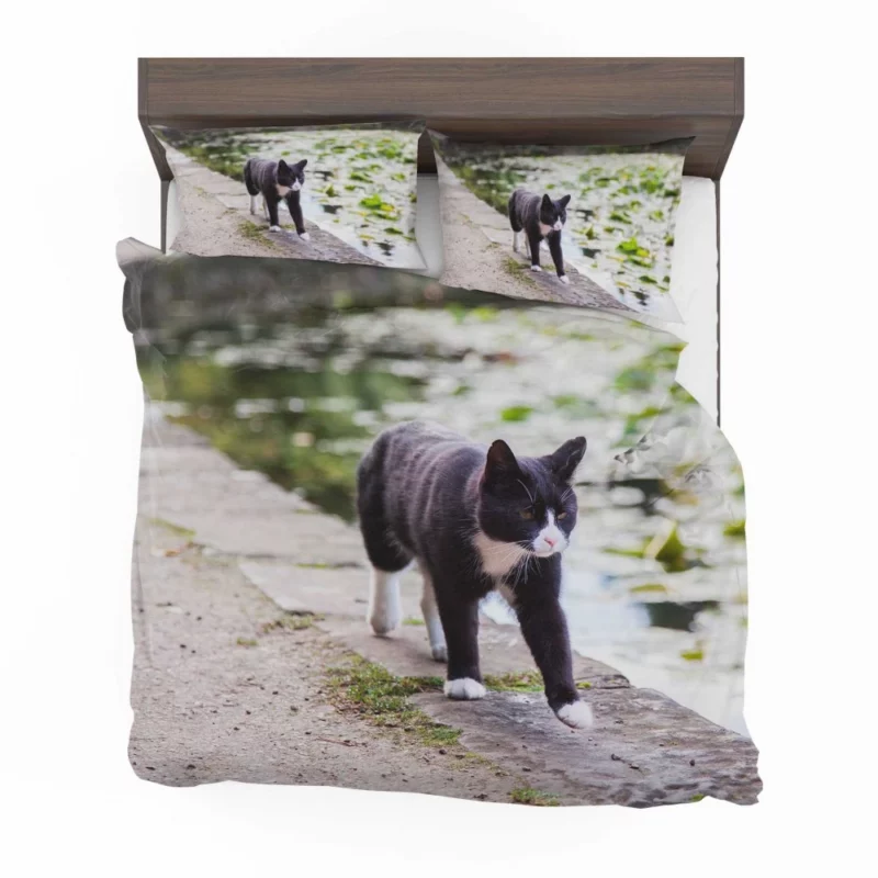 Cat Soulful Eyes Bedding Set 1