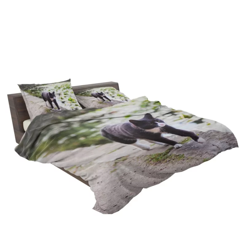 Cat Soulful Eyes Bedding Set 2