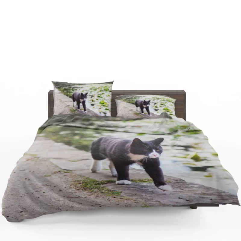 Cat Soulful Eyes Bedding Set